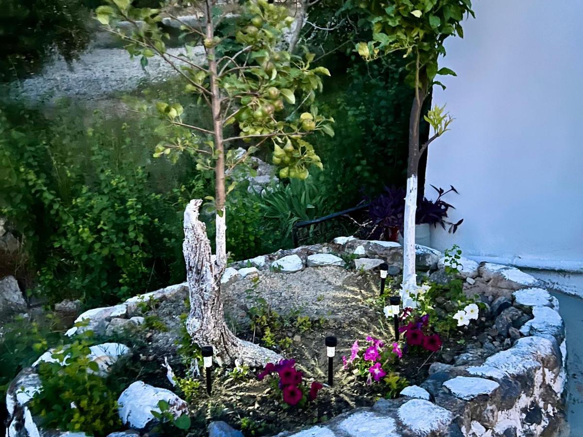 Greek House Tatiana Villa Kos Town Exterior photo
